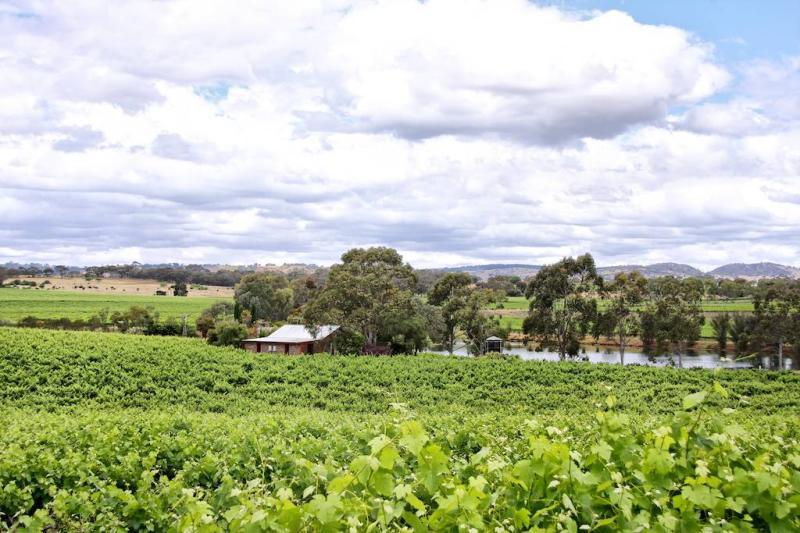 Stonewell Cottages & Vineyards Retreat Barossa Valley Kültér fotó